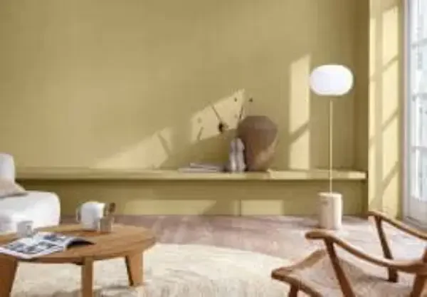 Give Your Dream Home a ‘Velvet Touch’: Experience Durability and Beauty with Shashwat Wall care