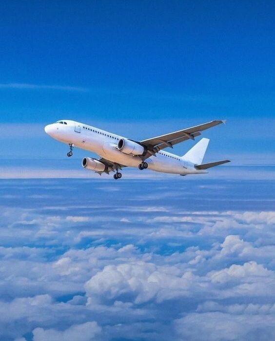 Philippine Airlines Dumaguete Office