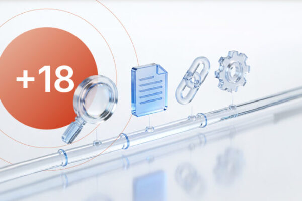 SEO Agency for Adult Business