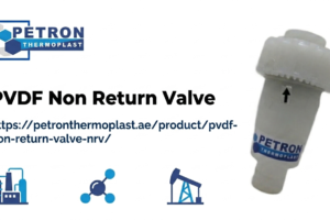 PVDF Non Return Valve manufacturer