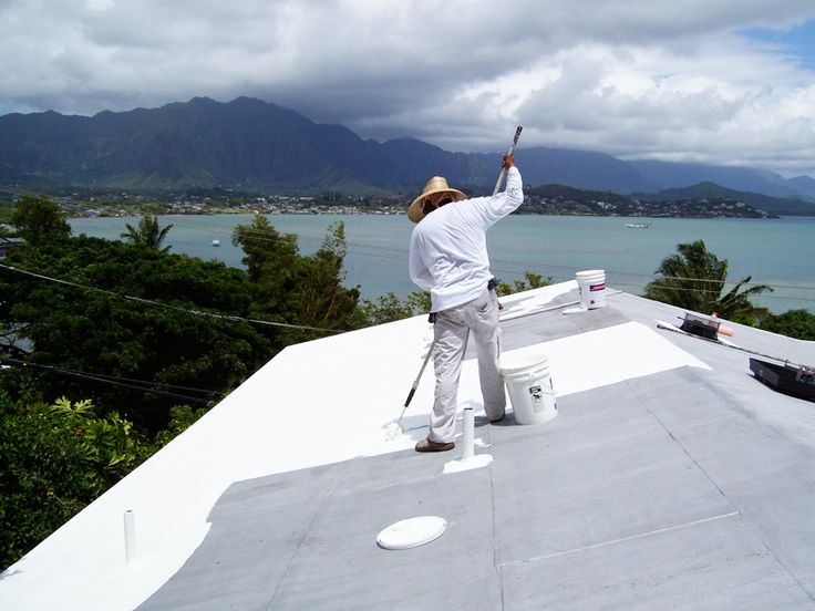 Exterior House Painting