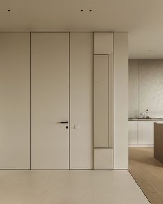 concealed door frames