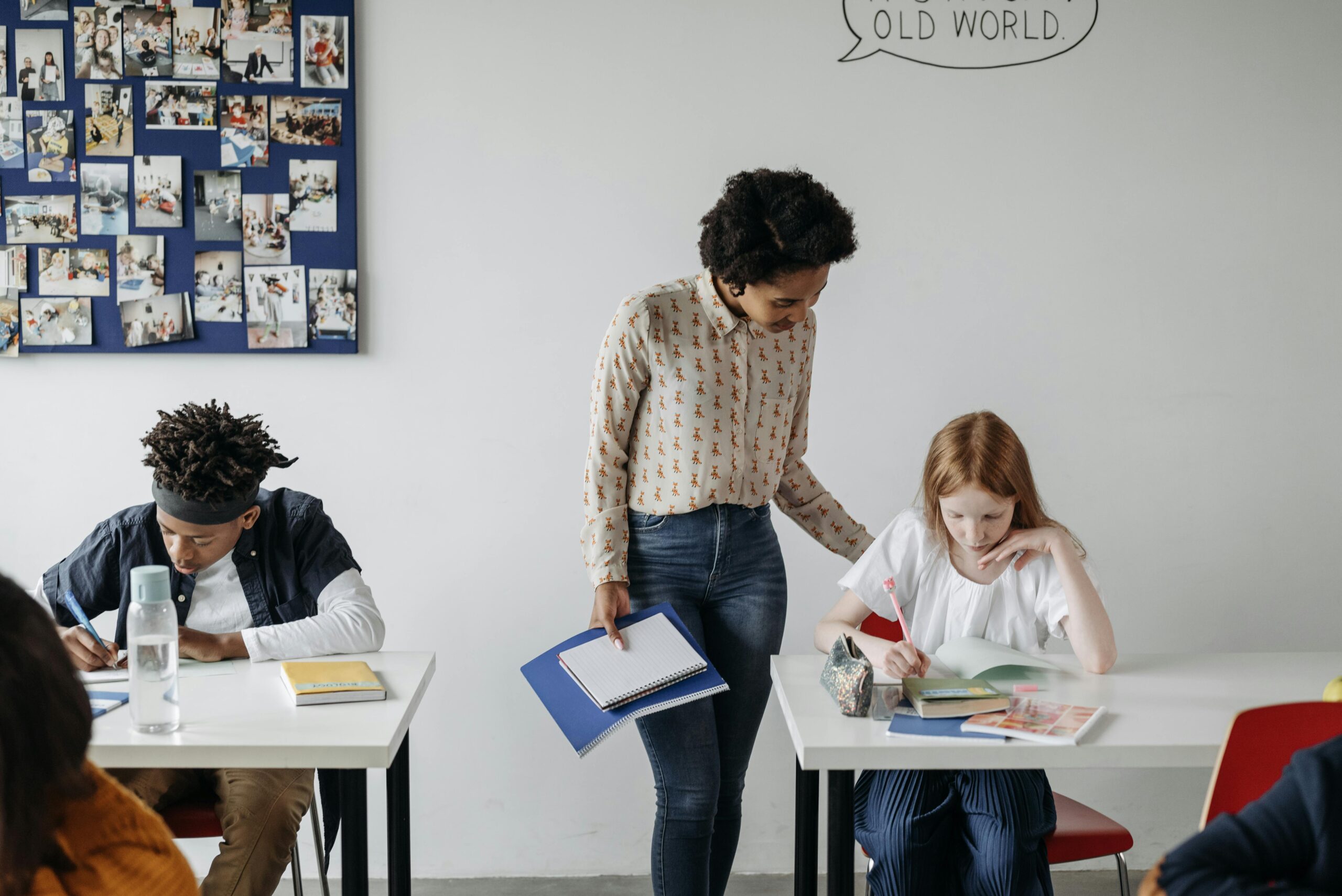 Assignment Help in India