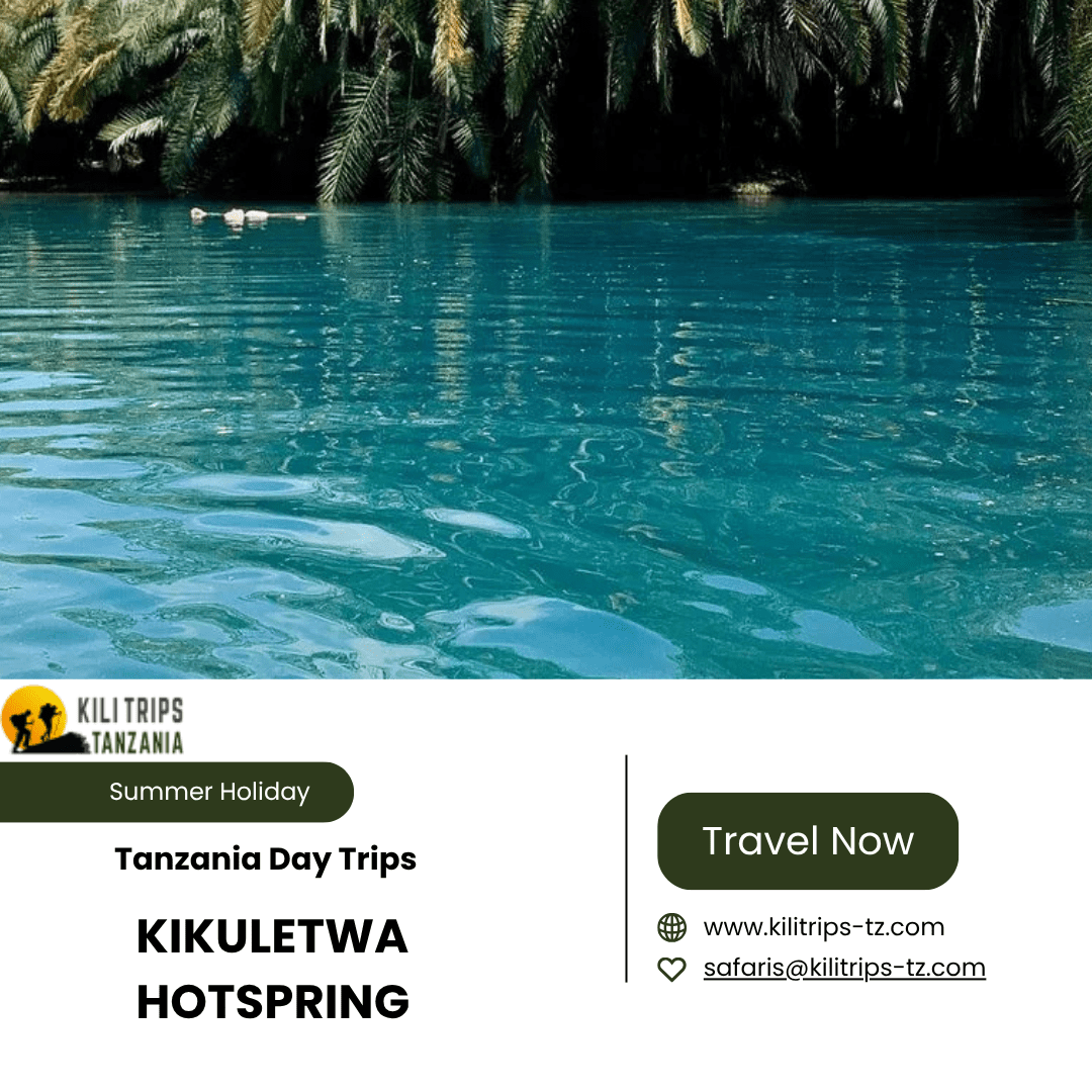 tanzania day trips